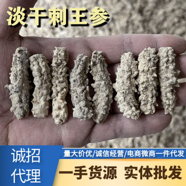 淡干刺王参干货刺皇海参有刺小黄玉批发斯里兰卡小刺参非印尼