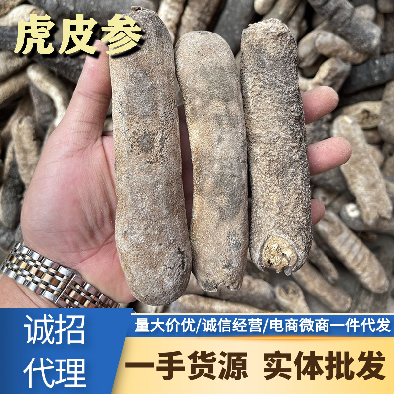 虎皮参干货5头中东红虎皮黑虎皮参海参厚肉大头花虎皮淡干叁