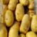 精品荷兰十五土豆基地直供一手货源品质保证诚信经营