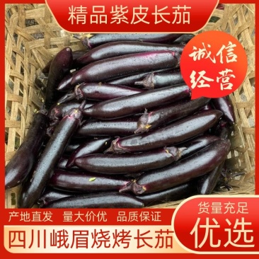 【精品】烧烤茄长茄一手货源现摘现发产地直发量大从优