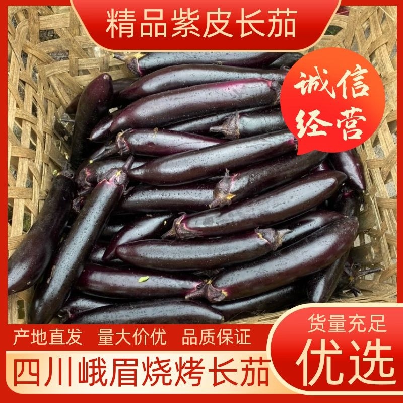 【精品】烧烤茄长茄一手货源现摘现发产地直发量大从优