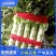 山东沂南红尖叶莴苣.莴笋已经大量上市.产地代收