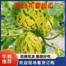 花蕾可对接商超，批发市场