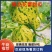 花蕾可对接商超，批发市场