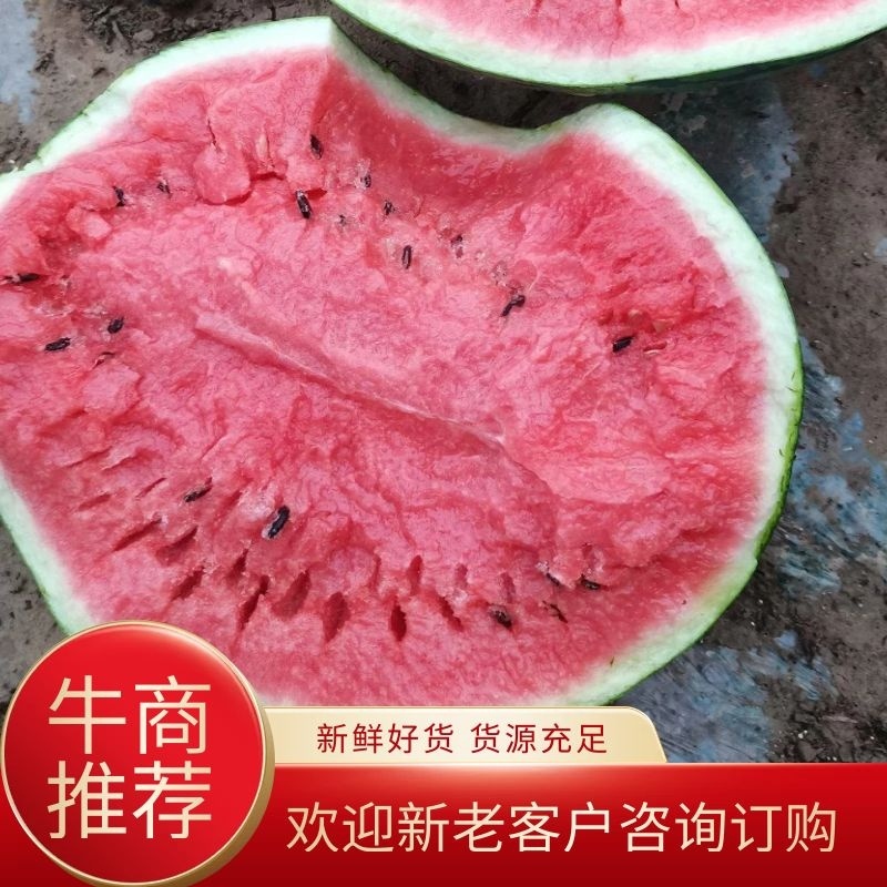 【万亩西瓜】西瓜，万亩大棚甜王西瓜，皮薄爆甜，清凉好吃