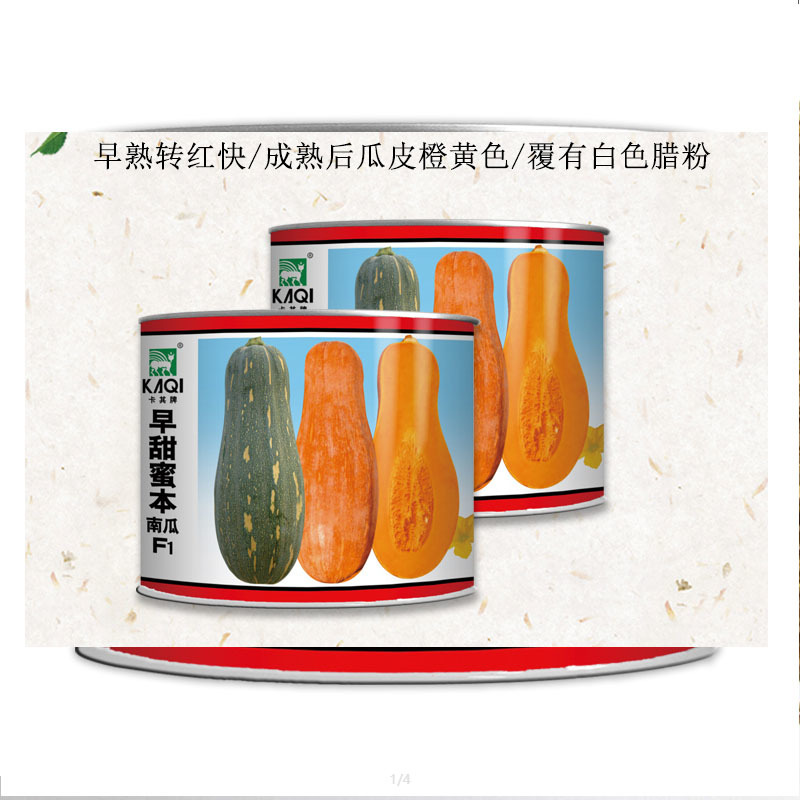【推荐】早甜蜜本南瓜种子早熟高产甜面南瓜种籽大田专用