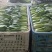 【油菜】精品上海青现摘现发品质保证冷库预冷量大从