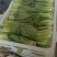 【油菜】精品上海青现摘现发品质保证冷库预冷量大从
