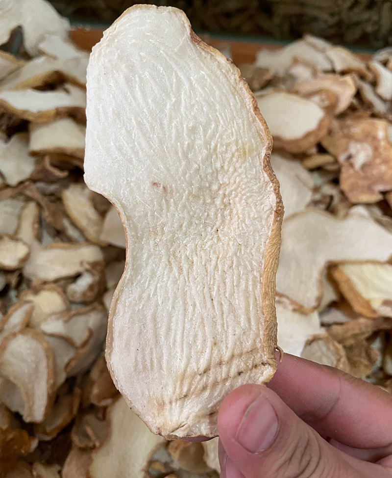 云南大黄精生黄精鸡头黄精姜形黄精老虎姜黄精片产地大货批发