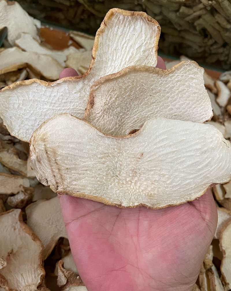 云南大黄精生黄精鸡头黄精姜形黄精老虎姜黄精片产地大货批发