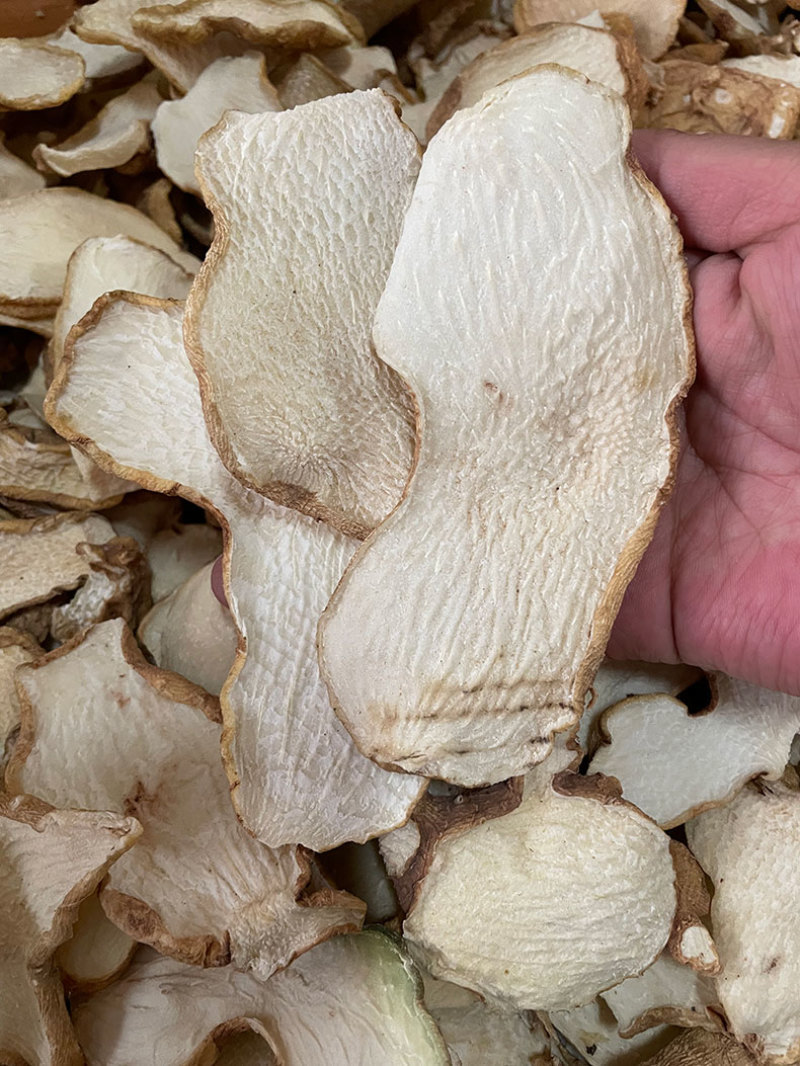云南大黄精生黄精鸡头黄精姜形黄精老虎姜黄精片产地大货批发