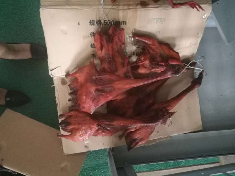 6匹分体式干燥烘干机