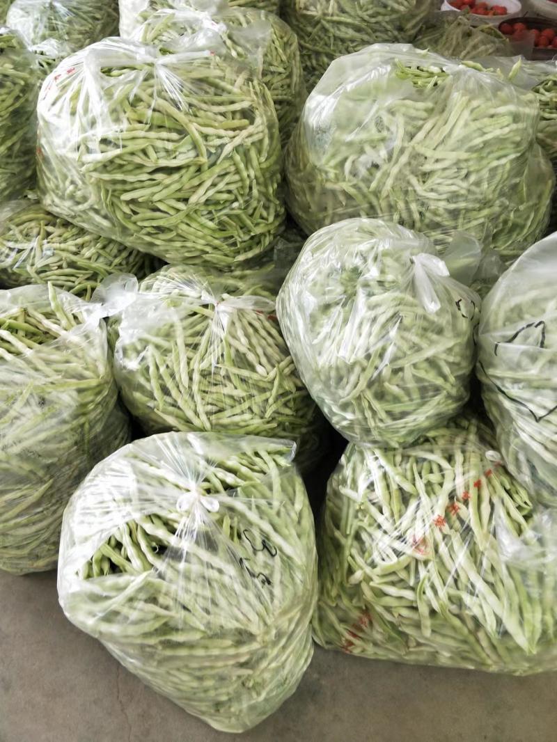 【四季豆】无筋四季豆大量供应中可视频看货品质保证