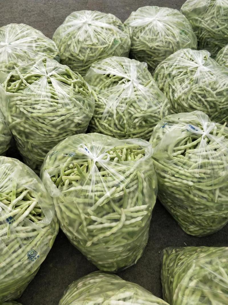 【四季豆】无筋四季豆大量供应中可视频看货品质保证