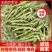 【四季豆】无筋四季豆大量供应中可视频看货品质保证