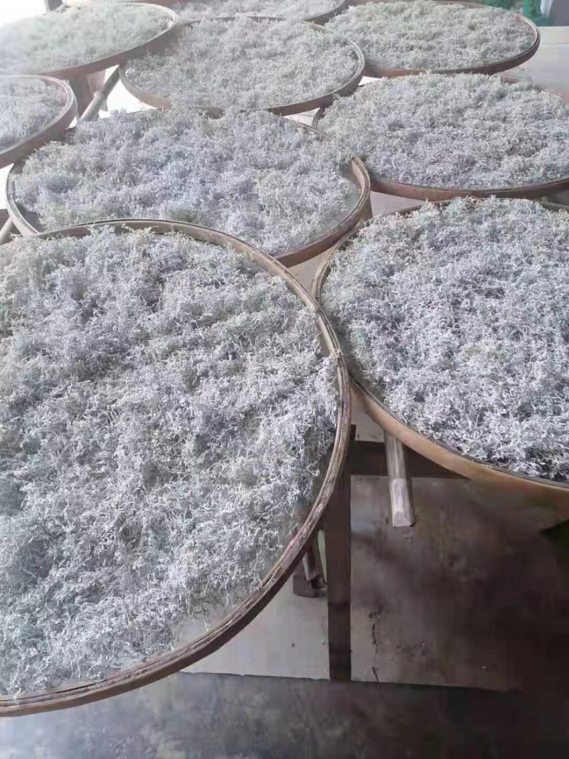 湘西永顺莓茶2022年新茶湘西莓茶永顺莓茶
