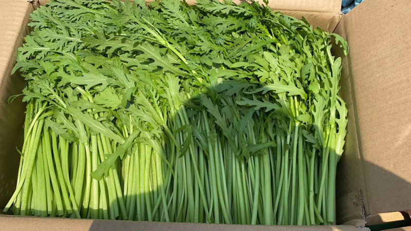 精品本地货，茼蒿，不空心，干货，质量有保障，量大从优