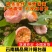 果汁阳台，庭院种植景观绿化，基地直供成活率高。