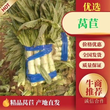 莴苣，莴笋一手货源，随到随装，保质保量，有专业装车队伍。