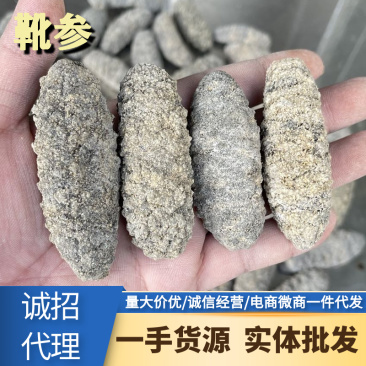 南美靴参25头干货批发淡干海参肉厚不麻口荔枝参白底雪参