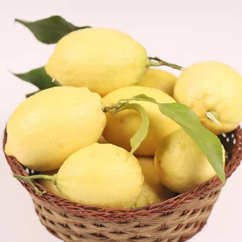 黄柠檬尤力克柠檬新鲜柠檬一件代发代办
