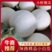 【精选】头茬香瓜，白玉香瓜，阎良甜瓜热卖中，日出货10万