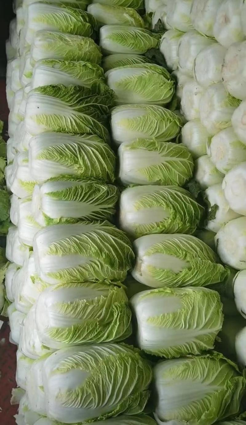 兰陵春季黄心大白菜4-6，无虫眼，无烧心保证质量