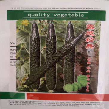 杂交黄瓜种子耐热油亮无嫁接全雌露地经典黄瓜种春夏秋延