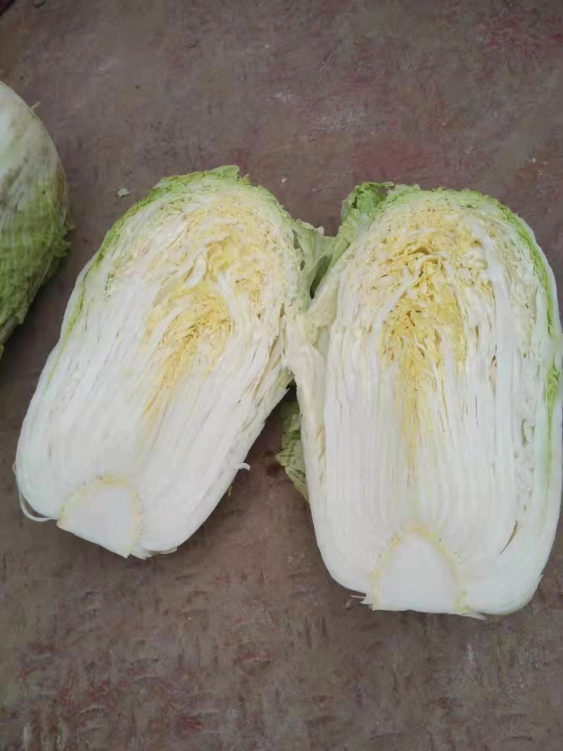 大白菜大量上市新鲜有货价格实惠欢迎大家采购
