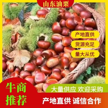 山东油栗，黄糯香甜油栗，炒货专用，代收代发电商微商，社区团购