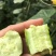 烟台海阳白玉黄瓜新鲜现摘清脆爽口5斤装包邮