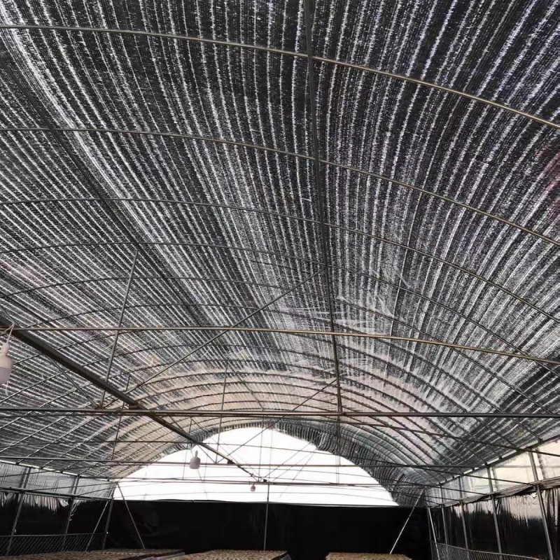 遮阳网厂家批发平针大棚用使用时间长