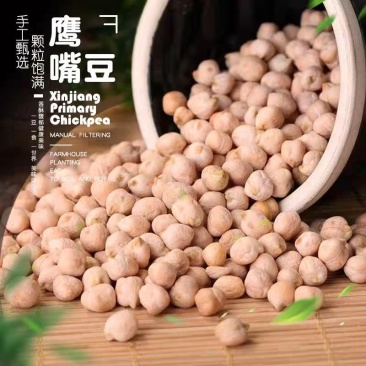 鹰嘴豆新货鹰嘴豆颗粒饱满规格多样批发供应