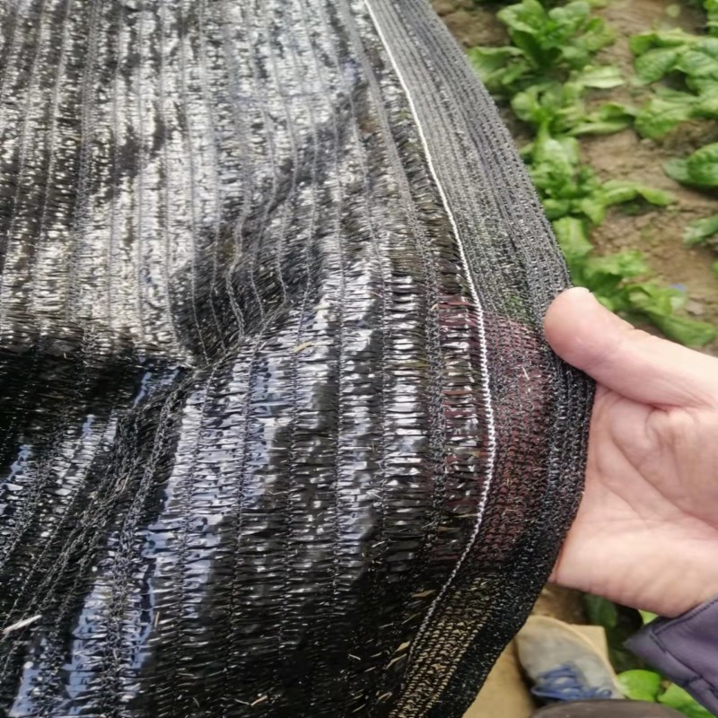 遮阳网3针4针6针8针10针12针厂家定制