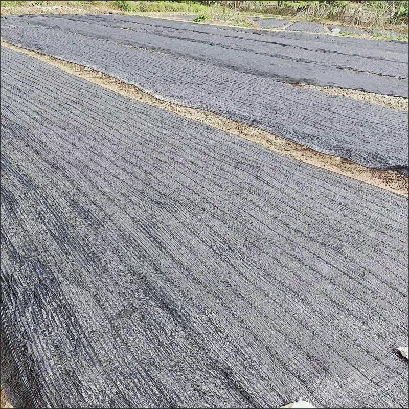 太阳网加密加厚遮阳网防晒网黑4针6针8针遮阴网大棚隔热网