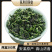 新茶安溪高山铁观音春茶浓香型茶叶兰花香乌龙茶500g袋装