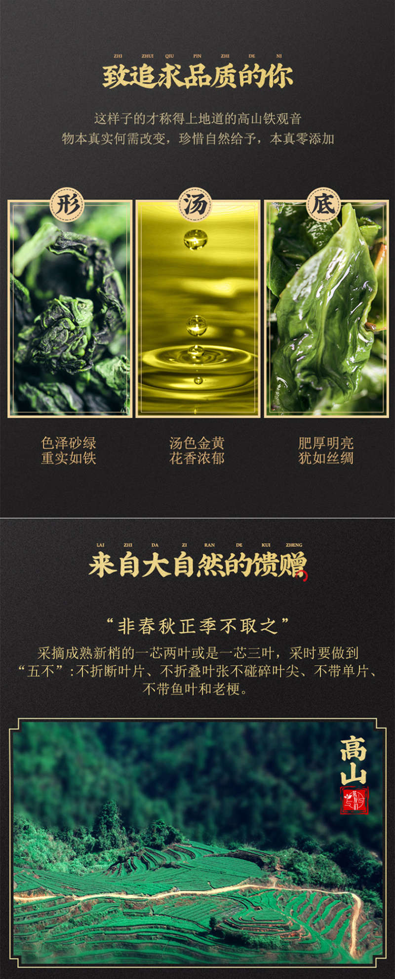 新茶安溪高山铁观音春茶浓香型茶叶兰花香乌龙茶500g袋装