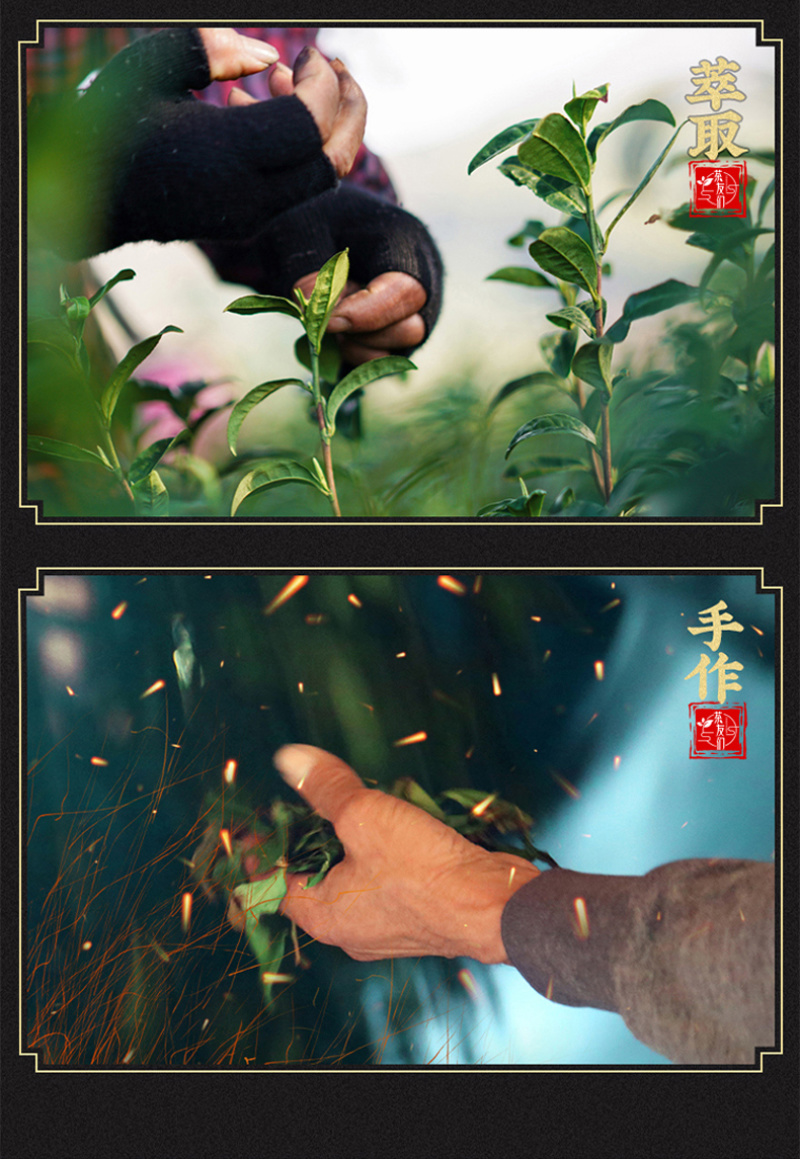 新茶安溪高山铁观音春茶浓香型茶叶兰花香乌龙茶500g袋装