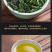 新茶安溪高山铁观音春茶浓香型茶叶兰花香乌龙茶500g袋装