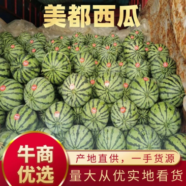 精品美都口感好糖度高质量保证产地直销供货源足