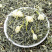 茉莉花茶2026新茶叶横县花茶散装浓香型绿茶罐装500克