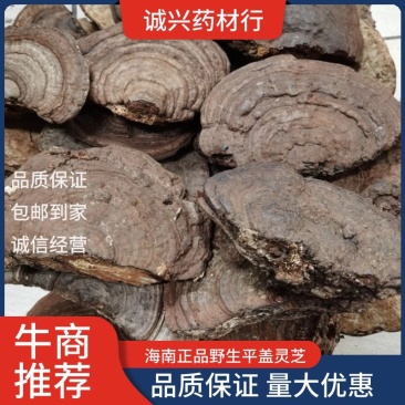 【包邮】野生平盖灵芝重手平盖灵芝质量保证一公斤起