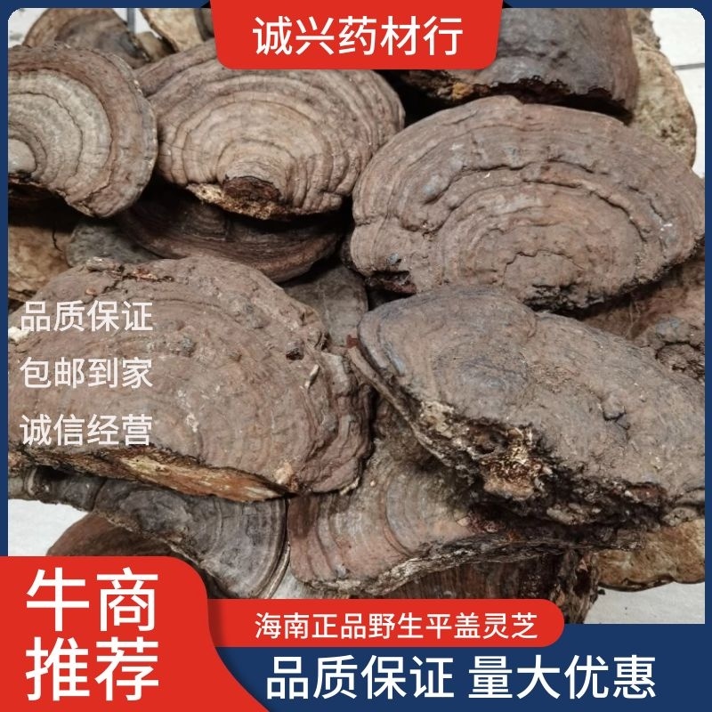【包邮】野生平盖灵芝重手平盖灵芝质量保证一公斤起