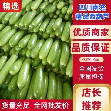 【优质商家】精品西葫芦视频看货无中间商货源充足