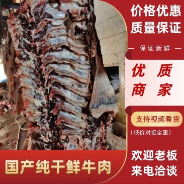 【牛肉】国产纯干鲜牛肉,手续齐全长期供应餐饮市场等