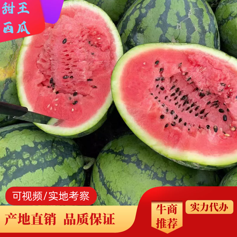 广东精品甜王西瓜精品头茬瓜，大量上市中！专业代收！