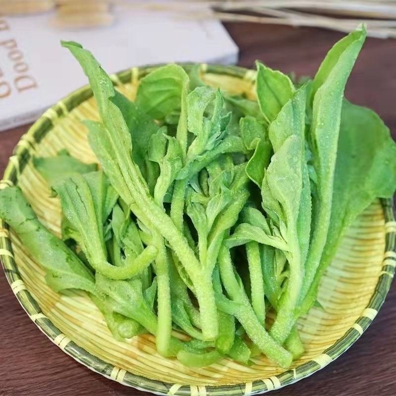 云南精品冰草优质货源，支持全国发货，量大，常年对外供货