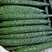 【热卖】密刺黄瓜大量上市，商超品质，质量保障基地供货