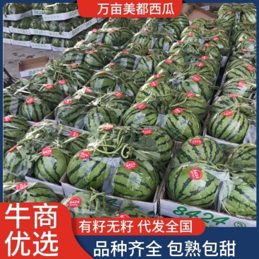 产地万亩大棚露天西瓜无籽有籽麒麟美都大量上市代收代发