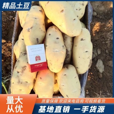 山东大棚新土豆,肥城土豆,黄皮黄瓤土豆,箱装土豆,基地
